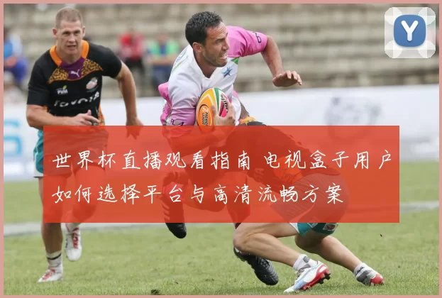 世界杯直播观看指南 电视盒子用户如何选择平台与高清流畅方案