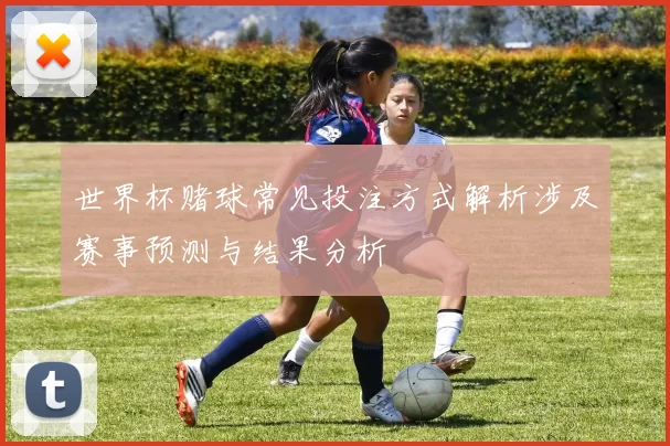 世界杯赌球常见投注方式解析涉及赛事预测与结果分析