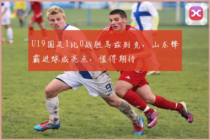 #南博文物疑云#，国家都出手彻查了，这起事件就像一束阳光，照亮了我们的思考：全国的博物馆，是否也应该进行一次彻底的自查？如何确保每一幅文物都像它的名字一样珍贵？