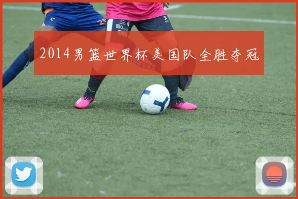 2014男篮世界杯美国队全胜夺冠