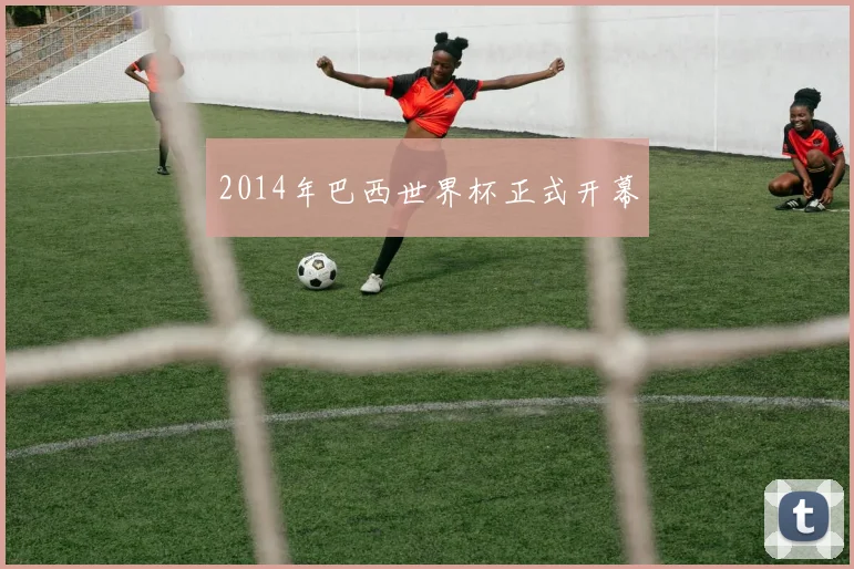 2014年巴西世界杯正式开幕