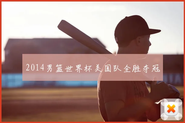 2014男篮世界杯美国队全胜夺冠