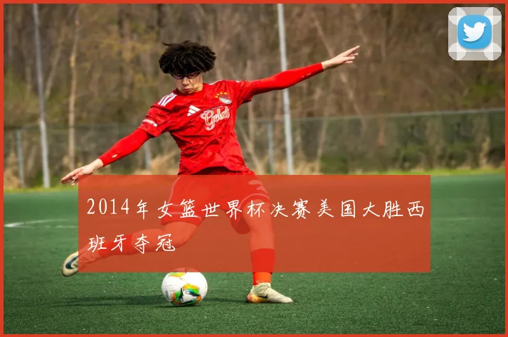 2014年女篮世界杯决赛美国大胜西班牙夺冠
